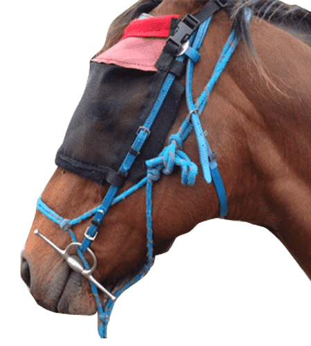 FLY VEILS BRIDLE MOUNTED 1-min