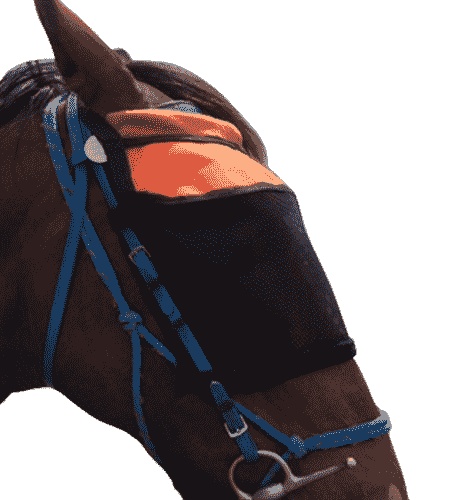 FLY VEILS BRIDLE MOUNTED 2-min