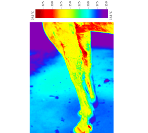 INFRARED INSPECTIONS